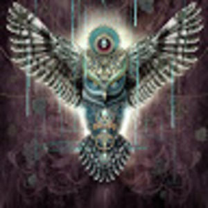 Meet your Posher, Gerald